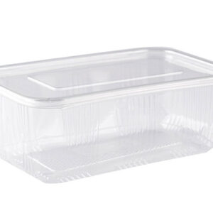 Plastična kutija sa poklopcem 1000g