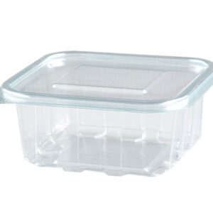 Plastična kutija sa poklopcem 500g